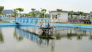 完善的服務體係